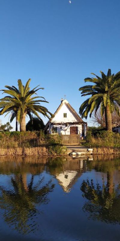 Paseos en barca por La Albufera de Valencia logo