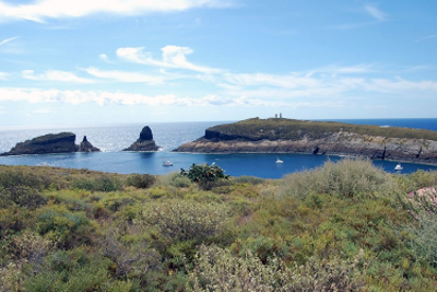 Excursión a Las Columbretes desde Alcossebre logo