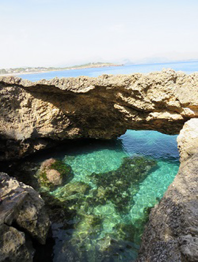 Actividades al Aire Libre en Mallorca  logo