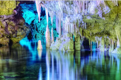 Half-Day Tour to Dinosaurland and Cuevas del Hams logo
