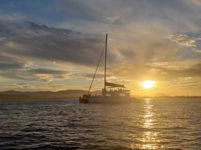 Catamaran Tours and Excursions: Valencia logo