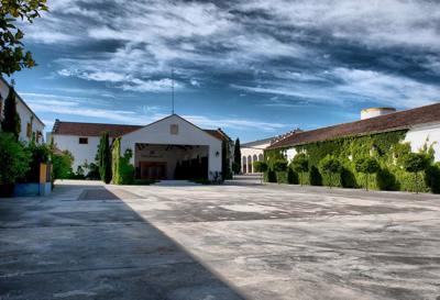 Guided Tours of Bodega Pérez Barquero logo