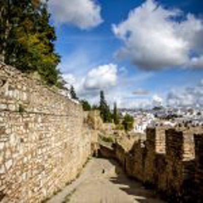 Guided Tour in Ronda  logo