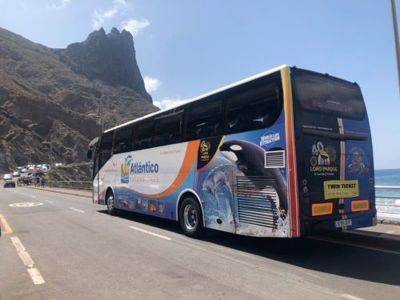 Excursiones en autobús desde Tenerife (Zona Sur) logo