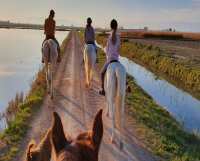 Paseo a Caballo por el Parque Natural del Delta del Ebro  logo