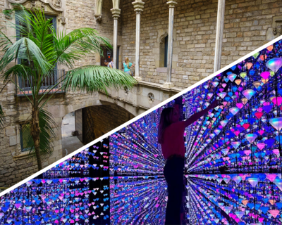 Guided tour in English to the Picasso Museum and Ticket to Moco Museum logo