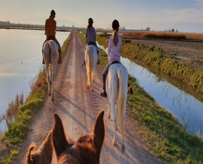 Horseback Riding in the Ebro Delta Natural Park  logo