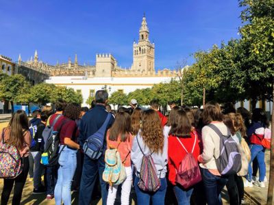 Grupos escolares al Alcázar y Judería de Sevilla  logo